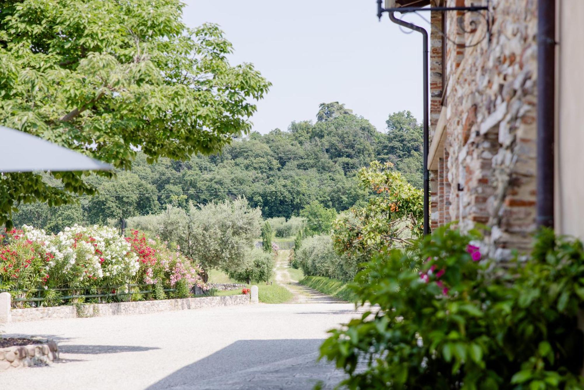 Willa Agriturismo Sambuco Pastrengo Zewnętrze zdjęcie