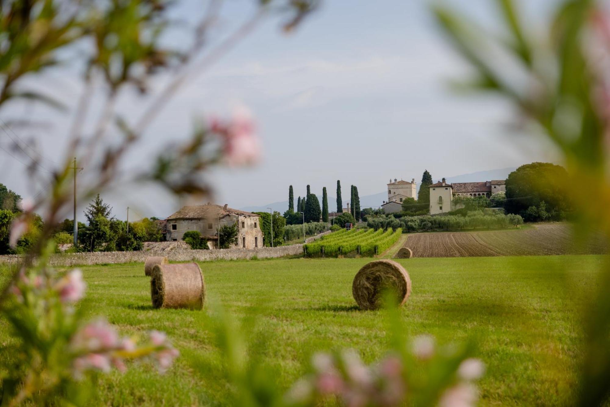 Willa Agriturismo Sambuco Pastrengo Zewnętrze zdjęcie