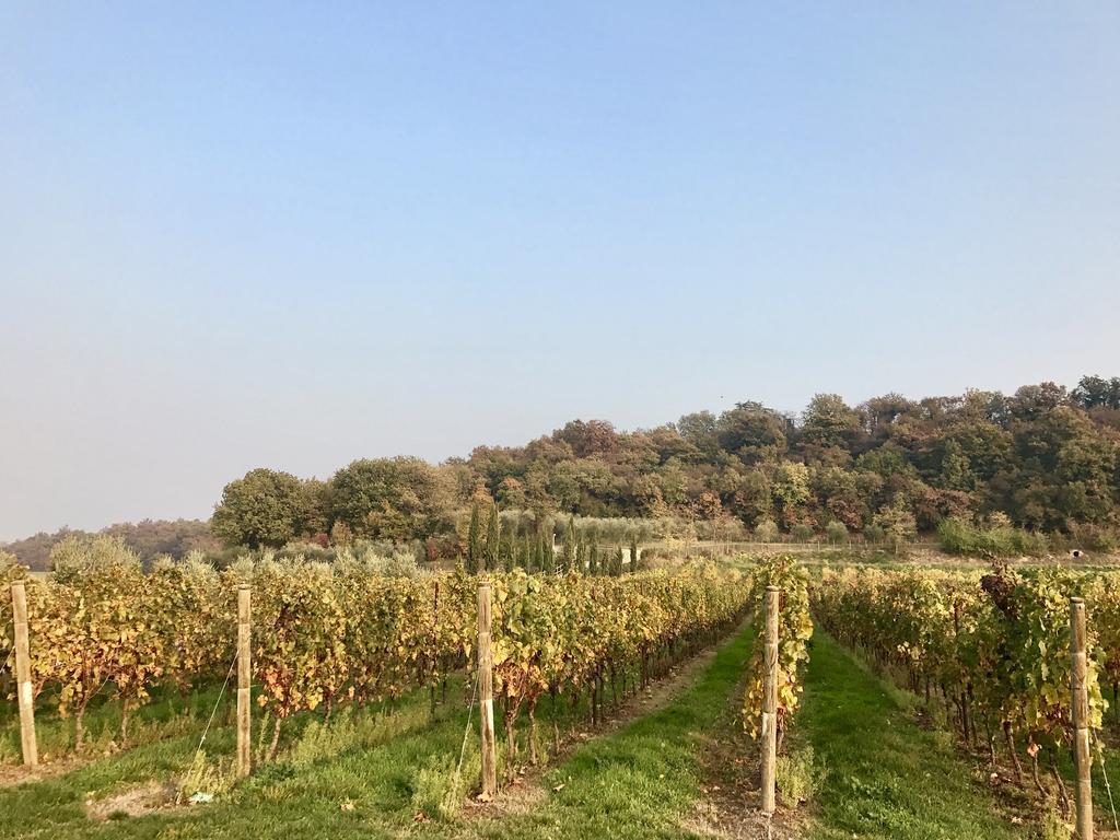 Willa Agriturismo Sambuco Pastrengo Zewnętrze zdjęcie