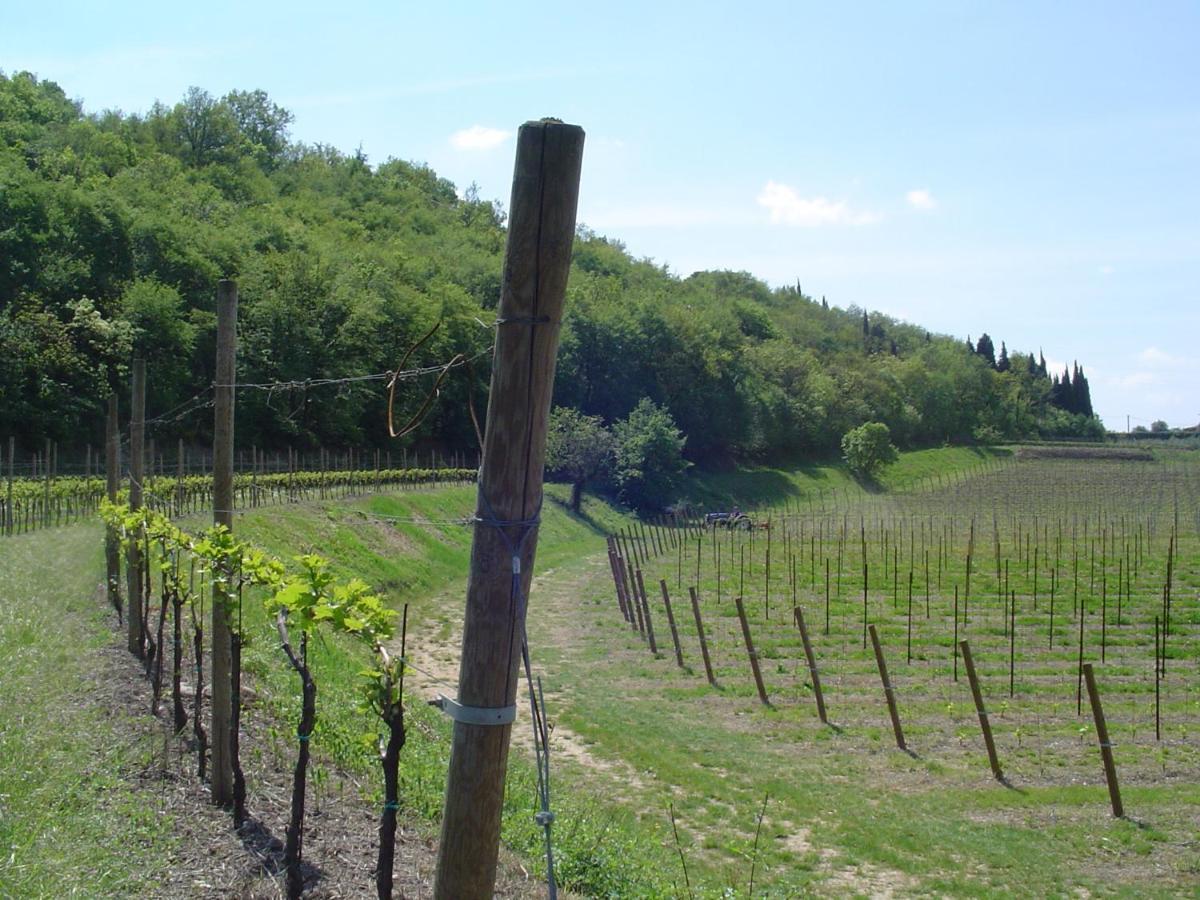 Willa Agriturismo Sambuco Pastrengo Zewnętrze zdjęcie