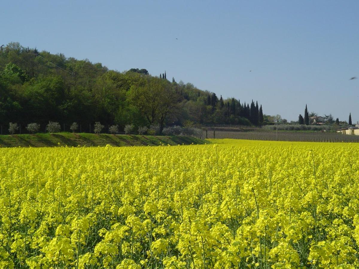 Willa Agriturismo Sambuco Pastrengo Zewnętrze zdjęcie